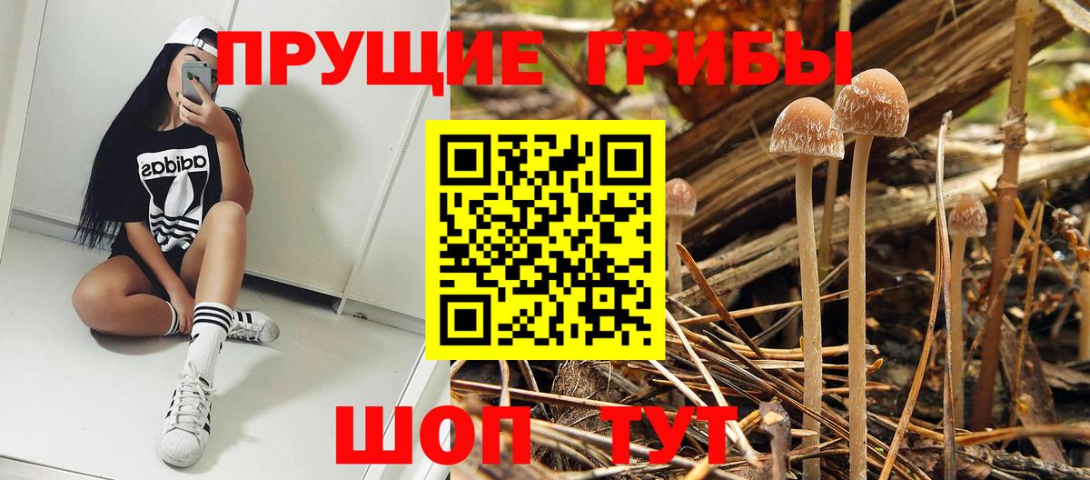 Галлюциногенные грибы Cubensis  Вход с VPN  Галлюциногенные грибы GOLDEN TEACHER  Партизанск 